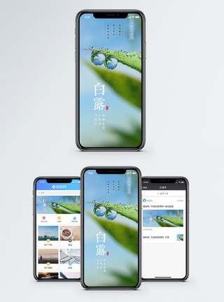 露珠背景白露手机配图模板