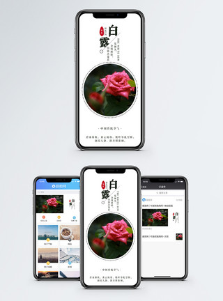 蔷薇石英白露手机海报配图模板