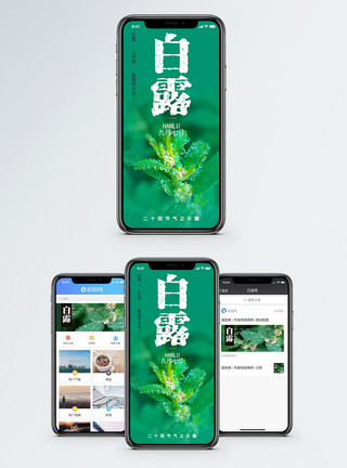晶莹雪球白露手机海报配图模板