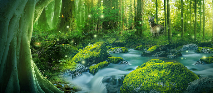 河里梦幻森林设计图片