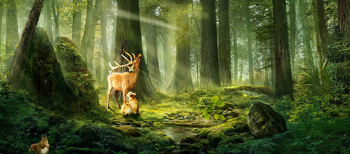 绿色光芒旋涡梦幻森林设计图片