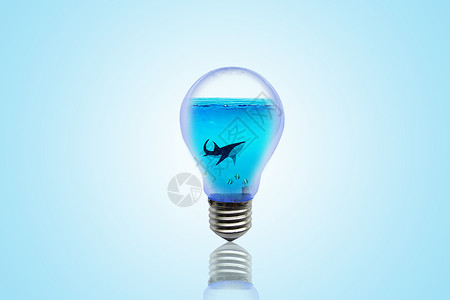 水海豚创意海洋灯泡设计图片