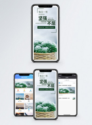 日系植物坚强不屈手机海报配图模板