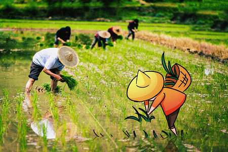 农业创意播种创意摄影插画插画