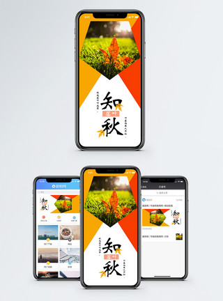 一片红枫叶秋手机海报配图模板