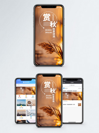 唯美渐变赏秋手机海报配图模板