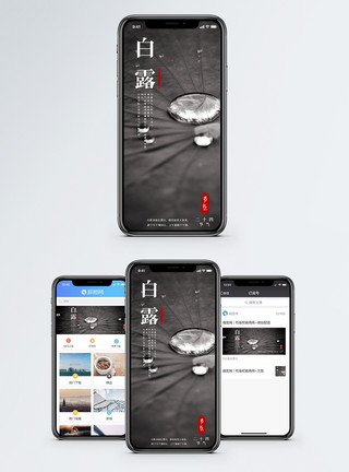 大寒节气白露手机海报配图模板