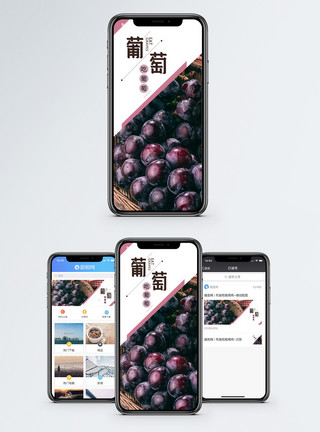 新鲜秋季葡萄葡萄成熟手机海报配图模板