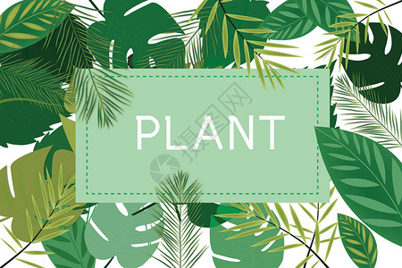 装饰绿叶热带植物背景插画
