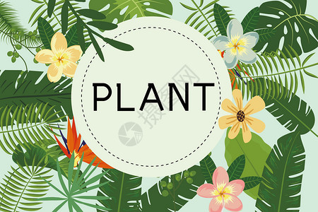 植物绿叶装饰植物背景插画