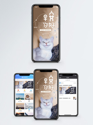猫咪图片免费下载你好早安手机海报配图模板