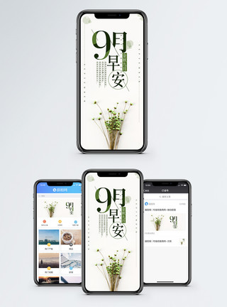 清新淡雅花朵9月早安手机海报配图模板