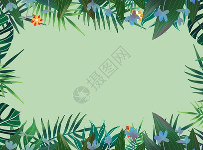 热带花卉植物背景图片