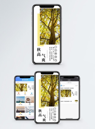 秋天游玩秋高气爽手机海报配图模板