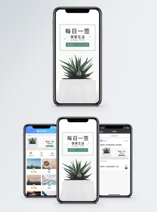 库拉索芦荟心情记录手机海报配图模板