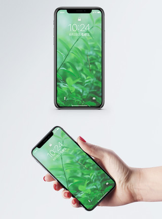 绿色植物树叶生机勃勃手机壁纸模板
