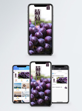 当季水果海报葡萄手机海报配图模板