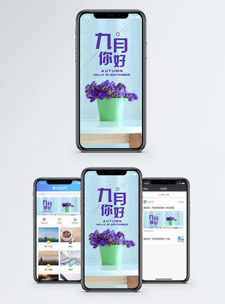 紫色小花盆栽九月你好手机海报配图模板