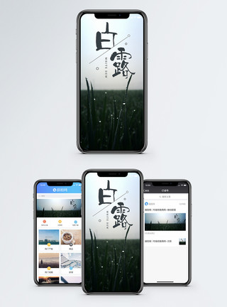 露水草阳光白露手机海报配图模板