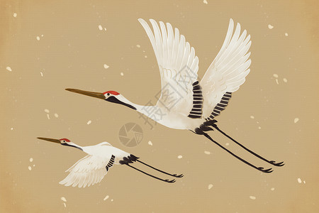 中国风仙鹤插画高清图片