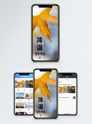 一叶深秋降温手机海报配图模板