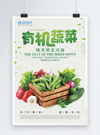 有机土壤蔬菜海报模板
