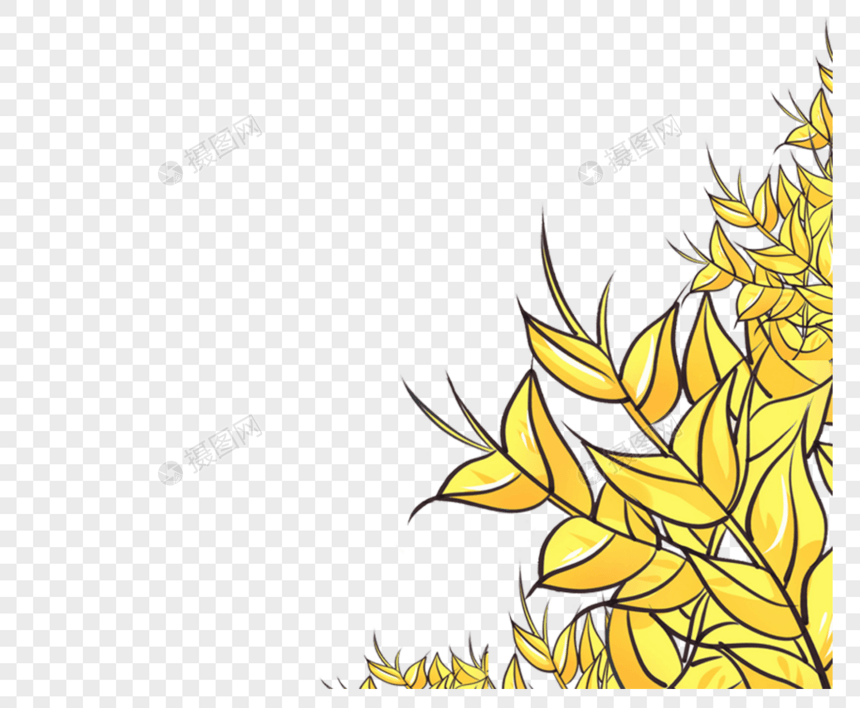 黄色植物树叶边框图片