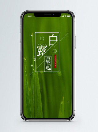 手机UI白露手机海报配图模板