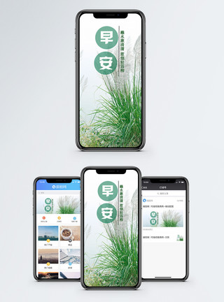 植物草从早安手机海报配图模板