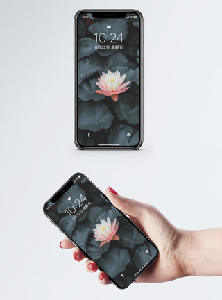 莲叶和莲花盛开暗黑系莲花手机壁纸模板