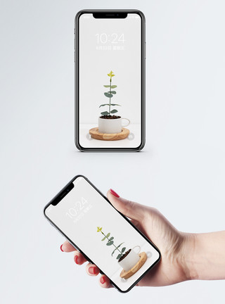 绿萝叶子盆栽创意静物手机壁纸模板