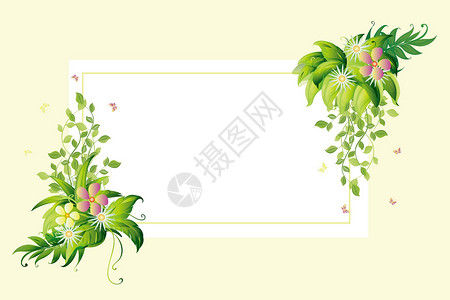 绿色边框相框花花卉植物背景插画