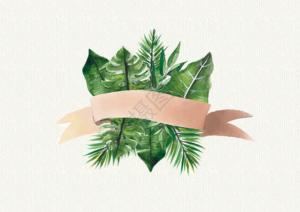 ps素材丝带热带植物叶子插画