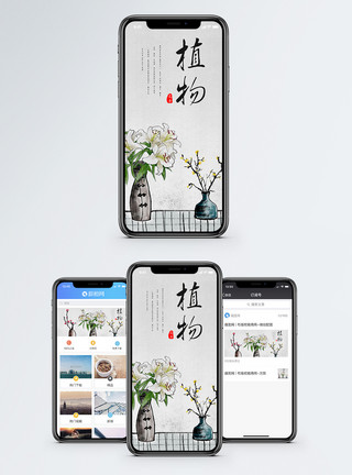 传统花卉传统手机海报配图模板