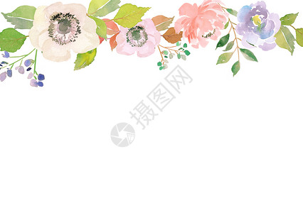 手绘水彩花卉植物背景图片