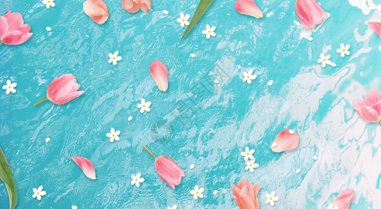 浪漫白色鲜花蓝底花瓣背景设计图片