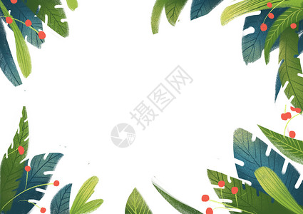 红色圆形边框植物留白背景图插画
