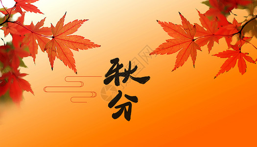 秋分场景橙色银杏叶高清图片