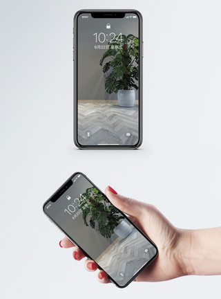 新鲜植物净化空气家居盆景手机壁纸模板