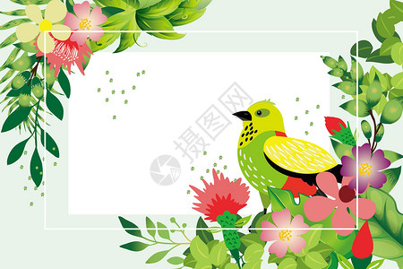 鸟类装饰植物花卉背景插画