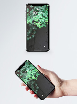 树叶高清绿植手机壁纸模板