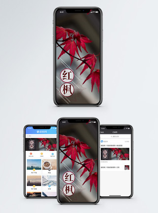 红枫一叶红枫手机海报配图模板