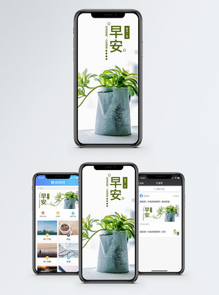 迷你盆栽早安清晨手机海报配图模板