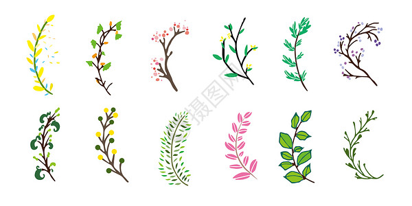 树枝叶子装饰手账植物背景插画