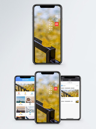 秋天雨一叶知秋手机海报配图模板