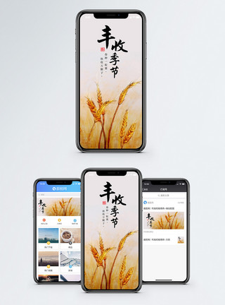 麦仁丰收季节手机海报配图模板