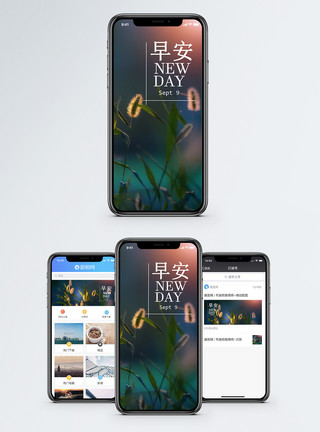 野花野草早安手机海报配图模板