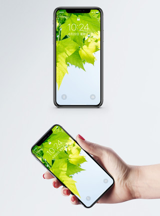 树叶风景植物风景手机壁纸模板