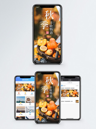 秋天硕果秋季物语手机海报配图模板