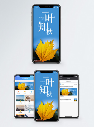 叶子黄叶一叶知秋手机海报配图模板